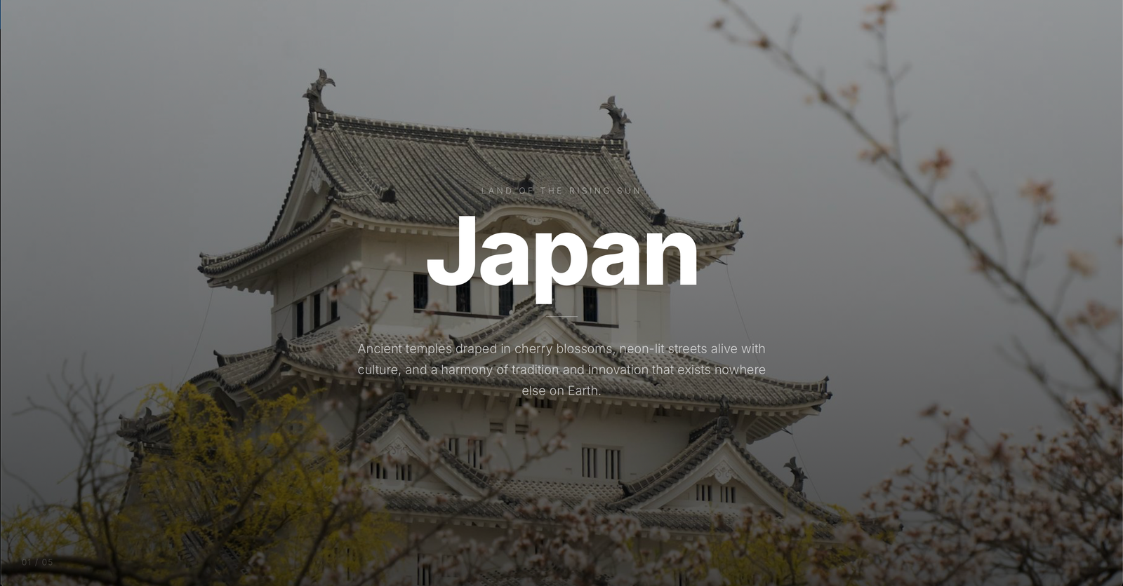 TravelCollection screenshot 1